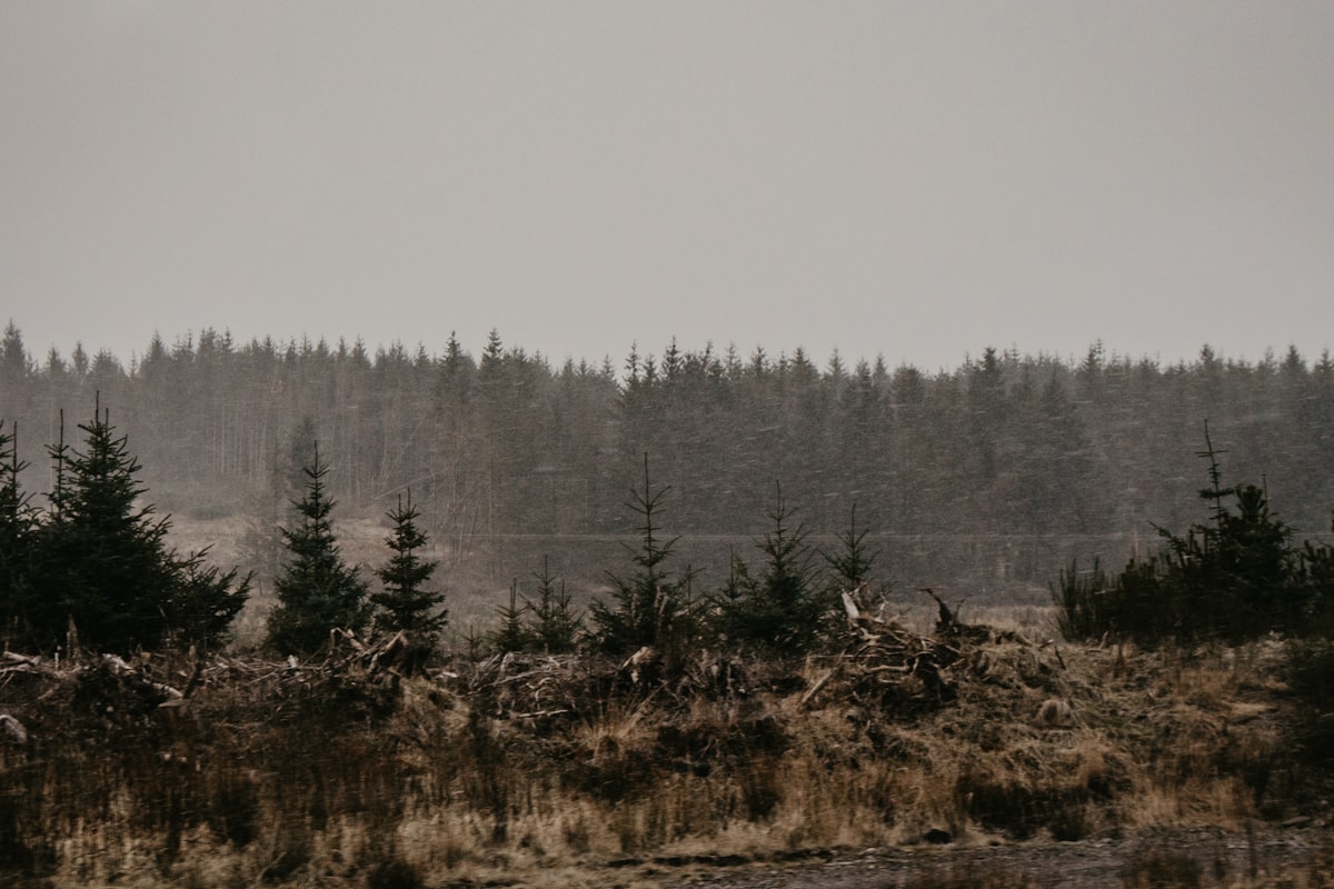 Storm clouds over a dark landscape — the descent every man faces and the light that breaks through